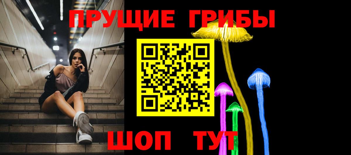 Псилоцибиновые грибы Magic Shrooms  закладки  Вход с VPN  Гусиноозёрск  Галлюциногенные грибы прущие грибы 